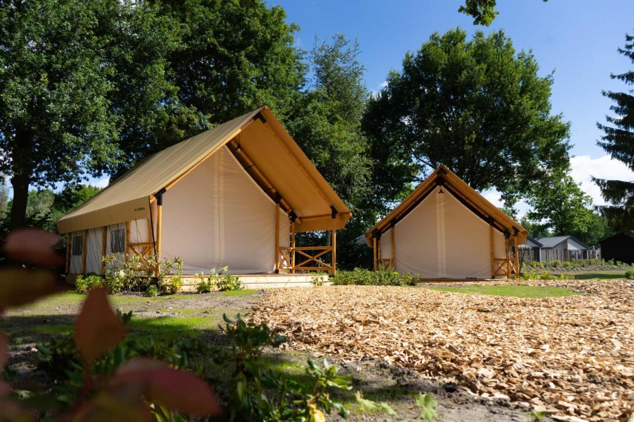 Europarcs Zilverstrand Mol Habitación foto