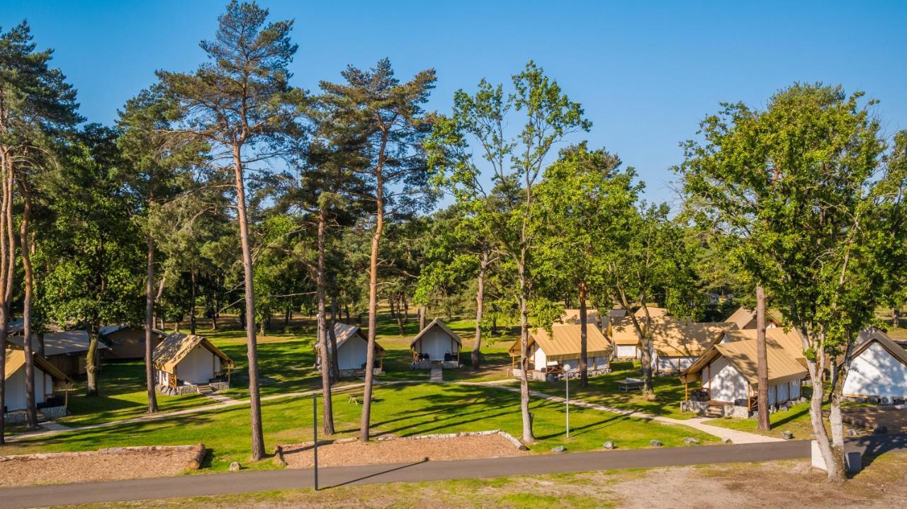 Europarcs Zilverstrand Mol Exterior foto