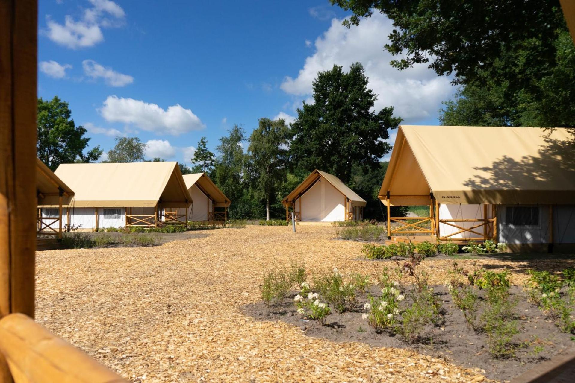Europarcs Zilverstrand Mol Habitación foto